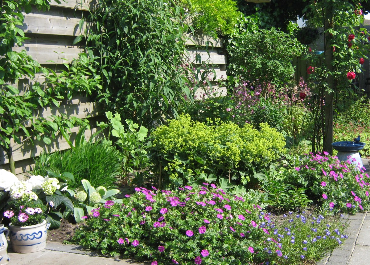 tuin2.jpg