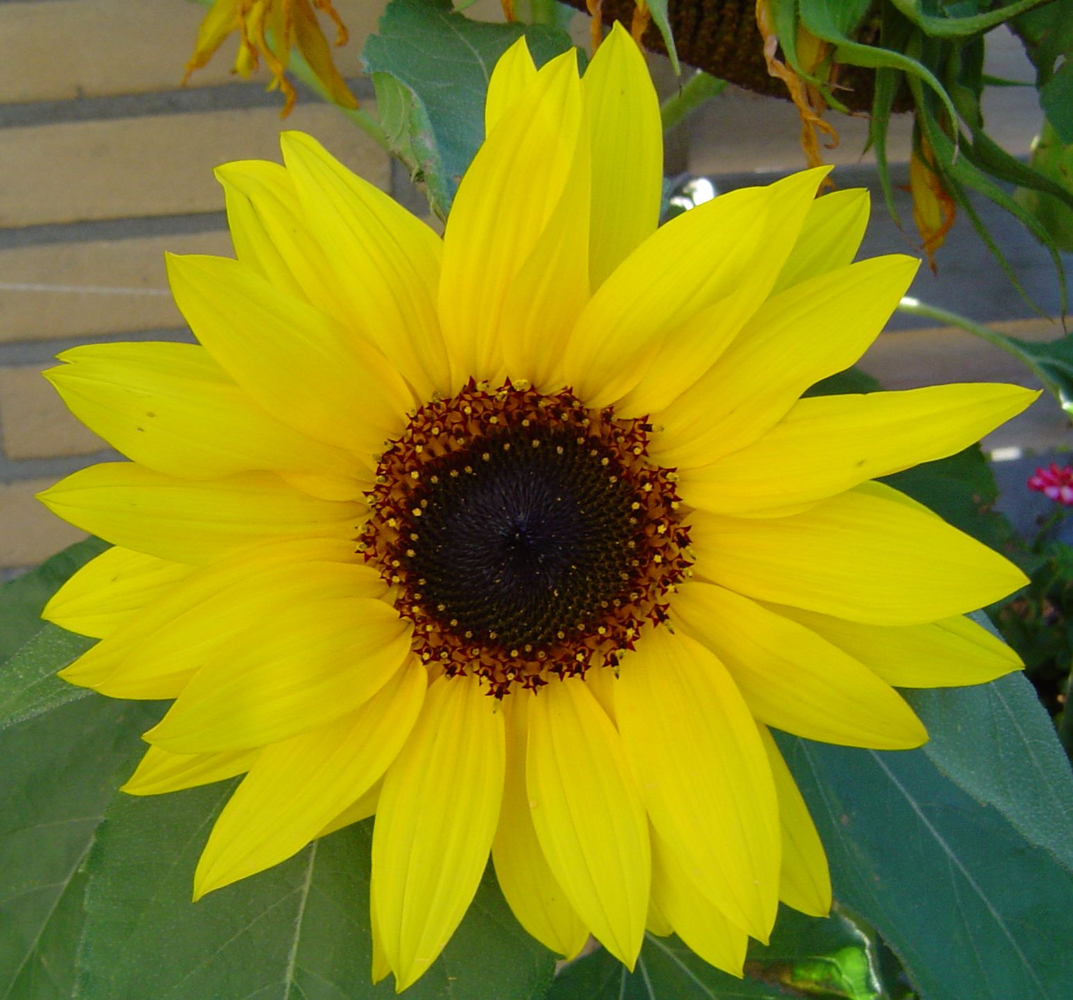 zomerkring2023